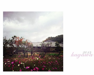 ブログ写真