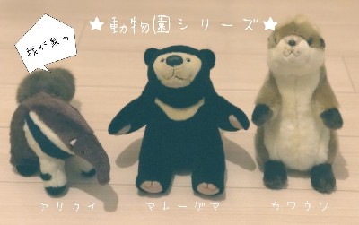 ブログ写真