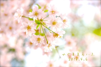 ブログ写真