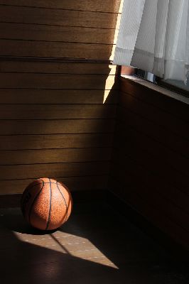 ブログ写真