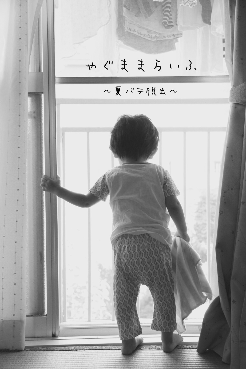 ブログ写真