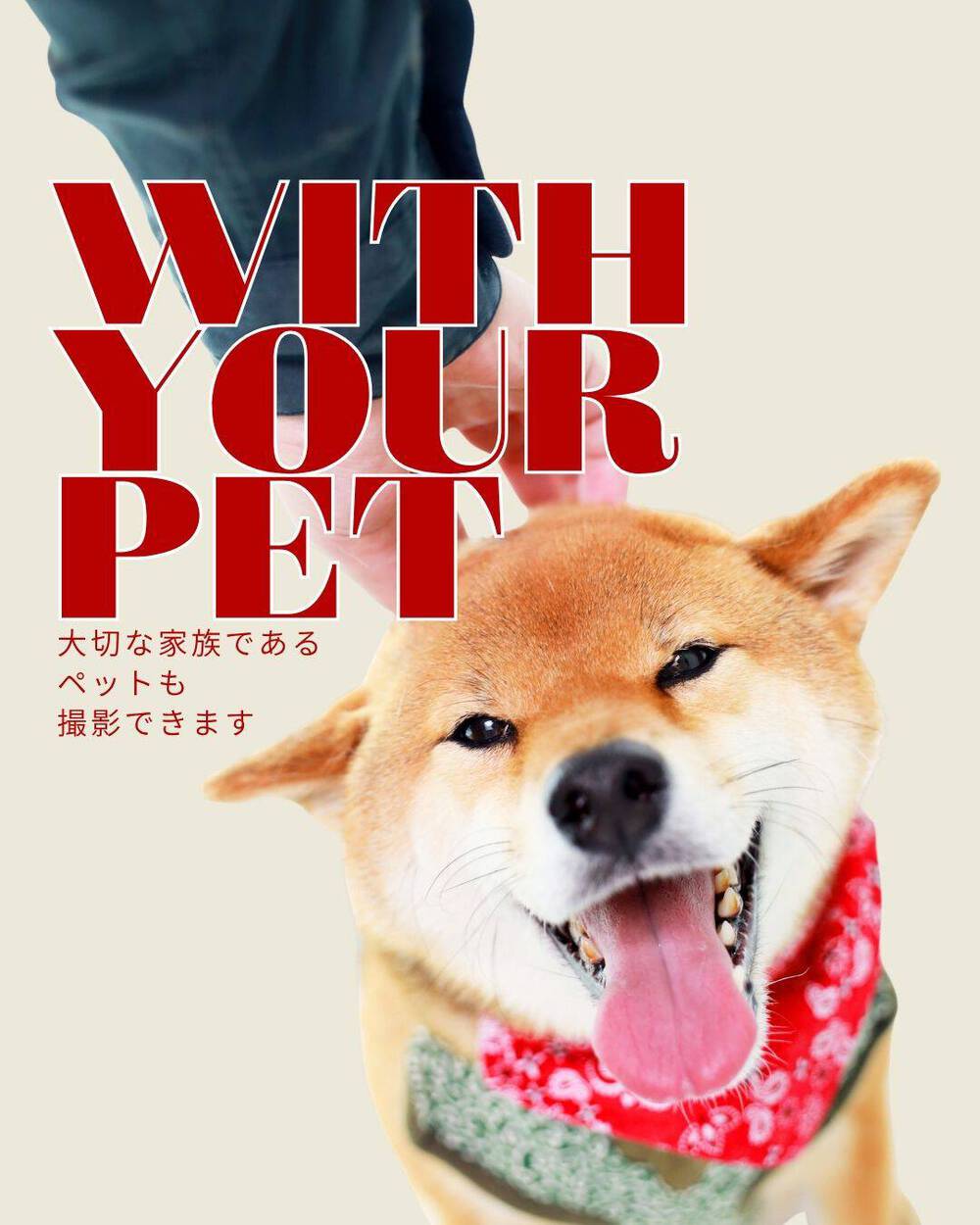 ブログ写真