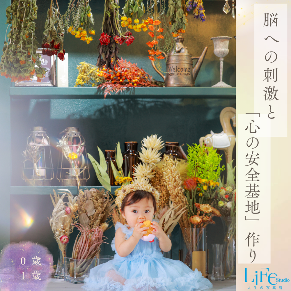 ブログ写真