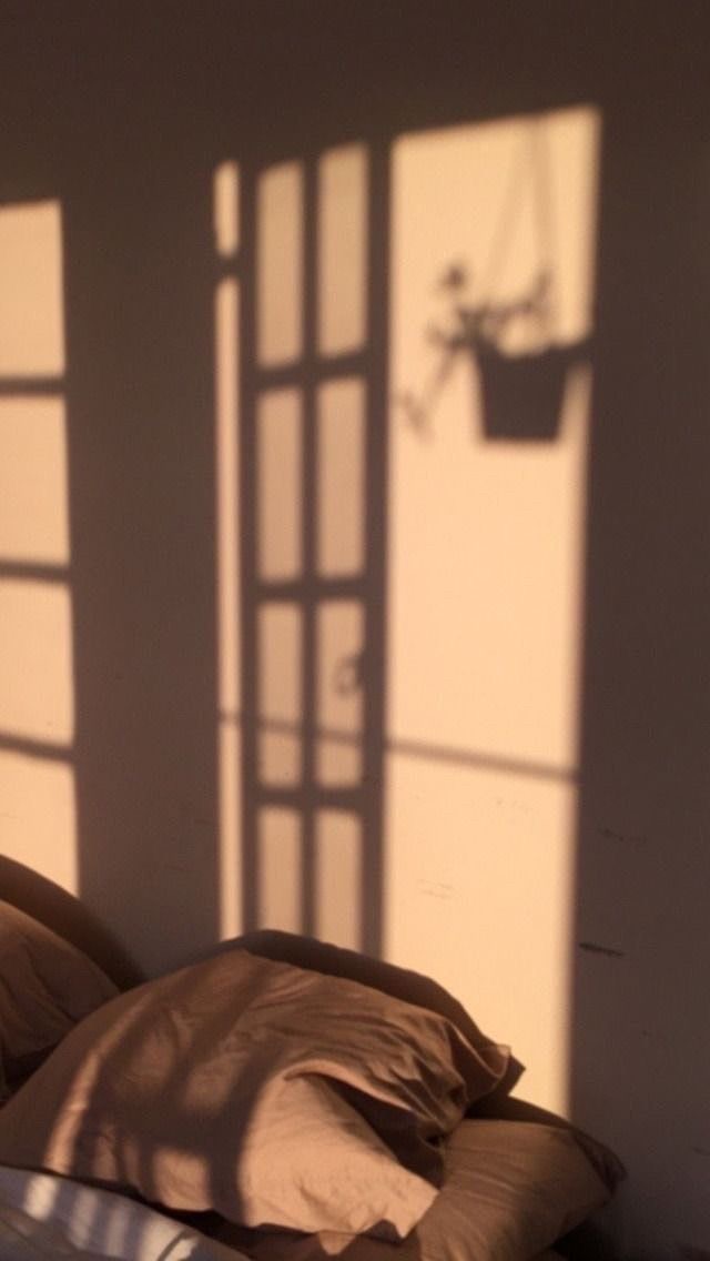 ブログ写真