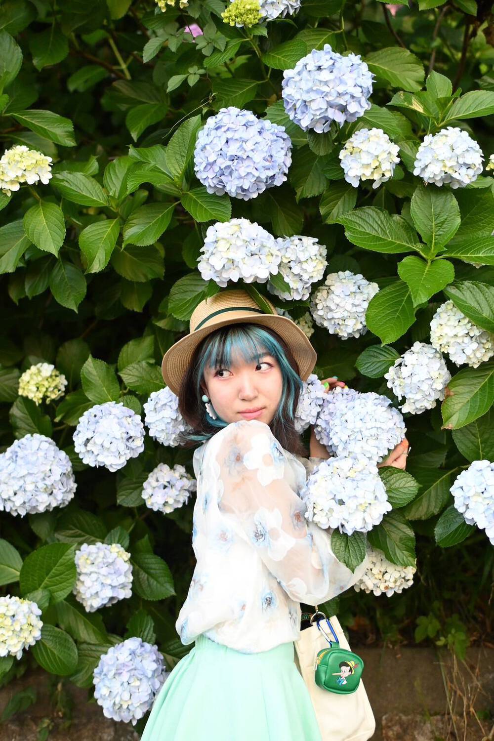 ブログ写真
