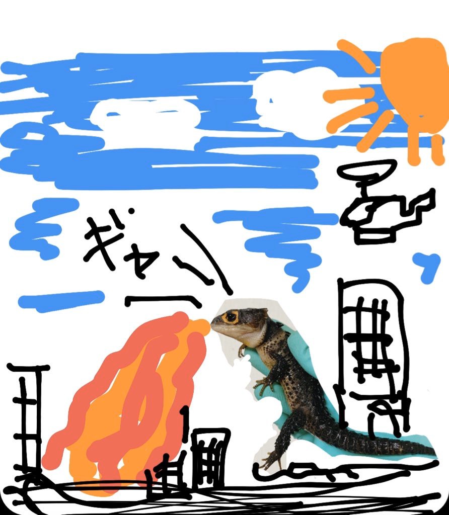 ブログ写真