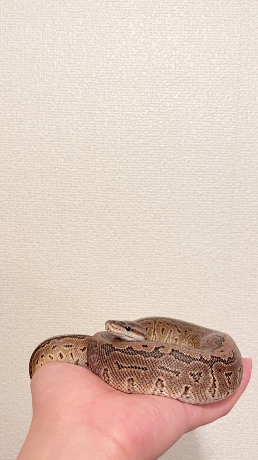 ブログ写真