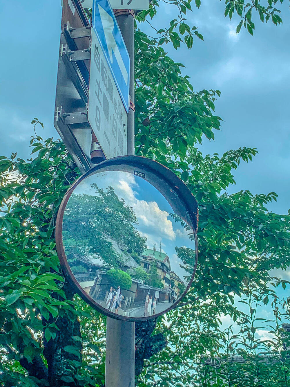 ブログ写真