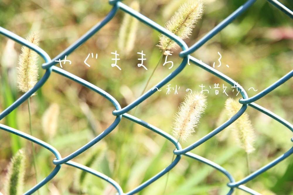 ブログ写真