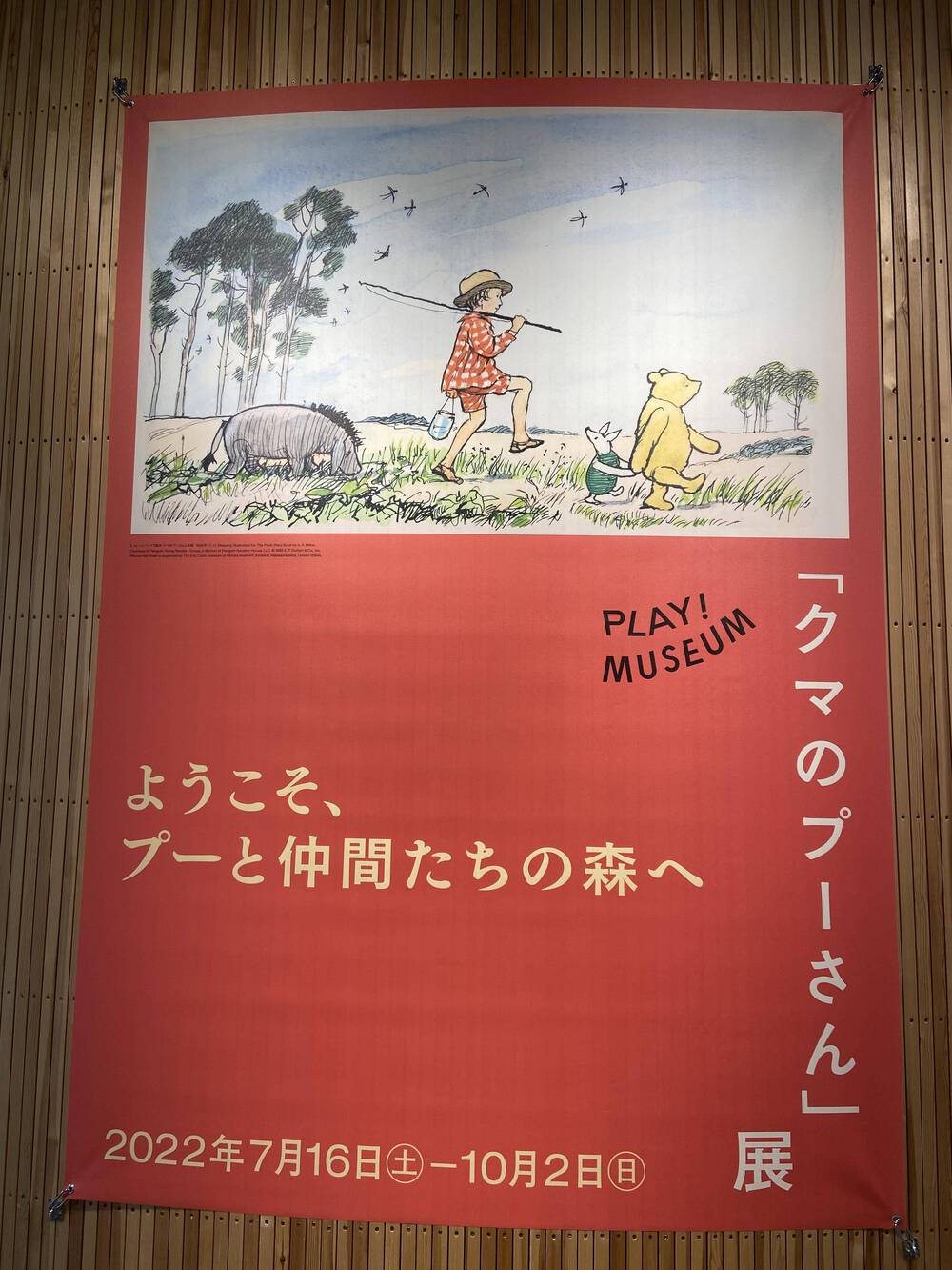 ブログ写真