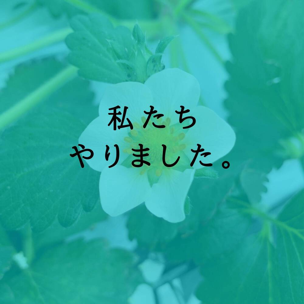 ブログ写真