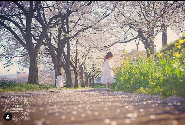 ブログ写真