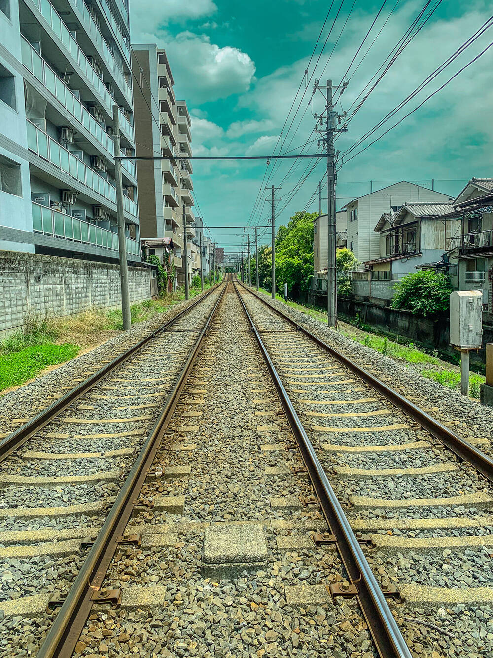 ブログ写真