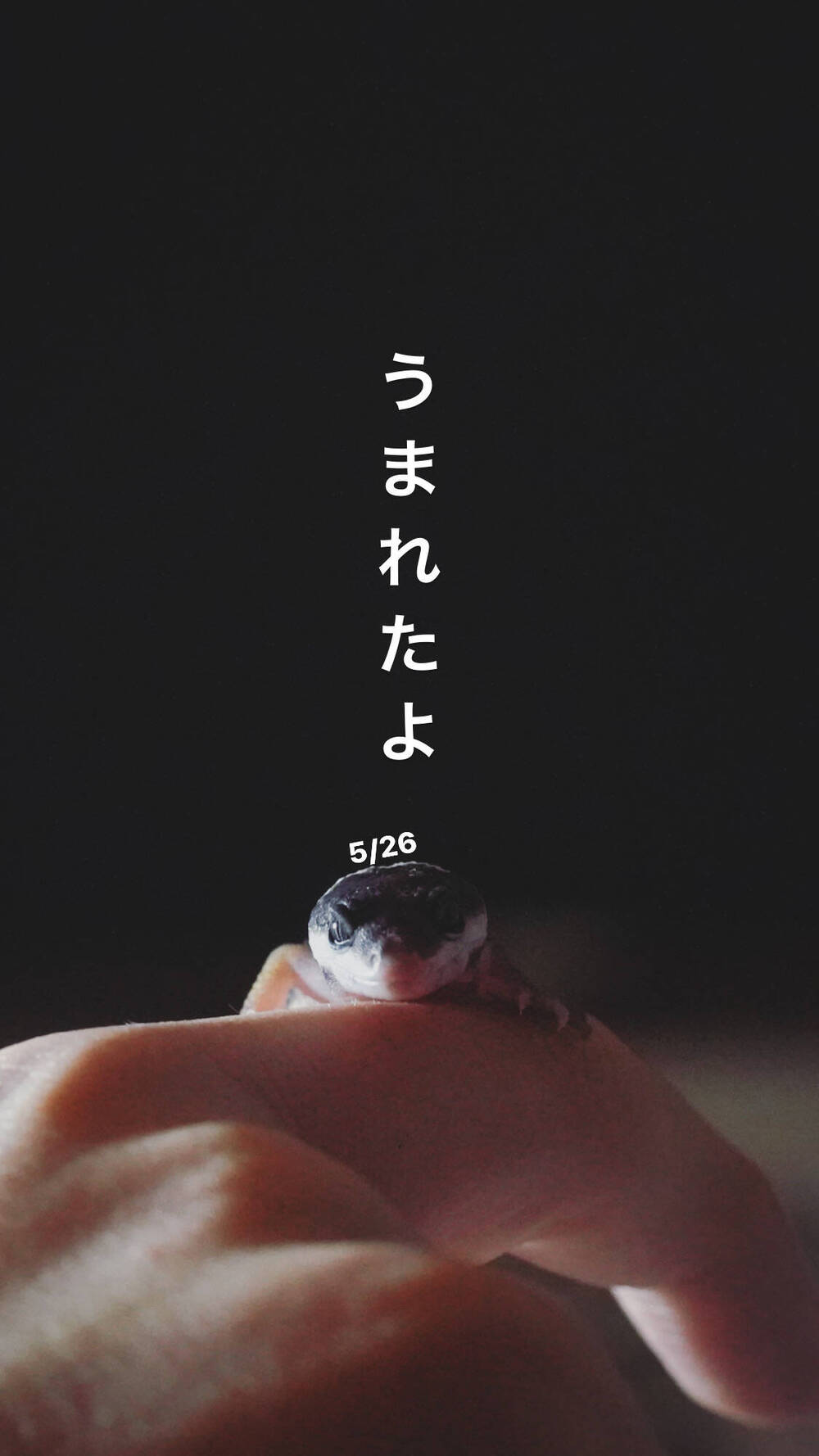 ブログ写真