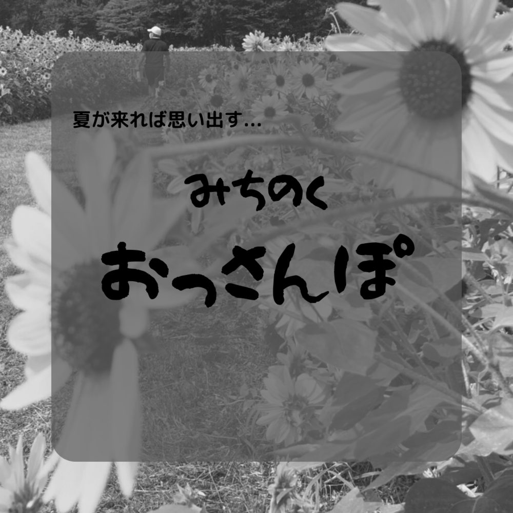 ブログ写真