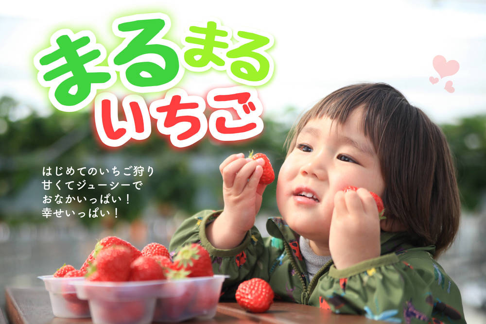 ブログ写真