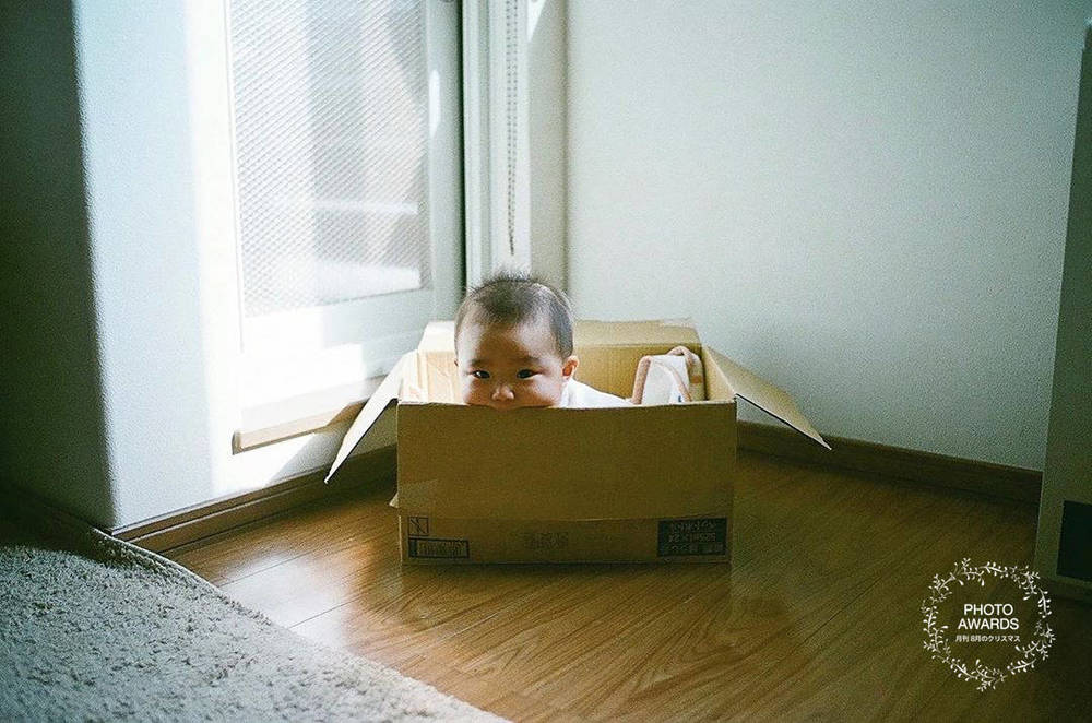 ブログ写真