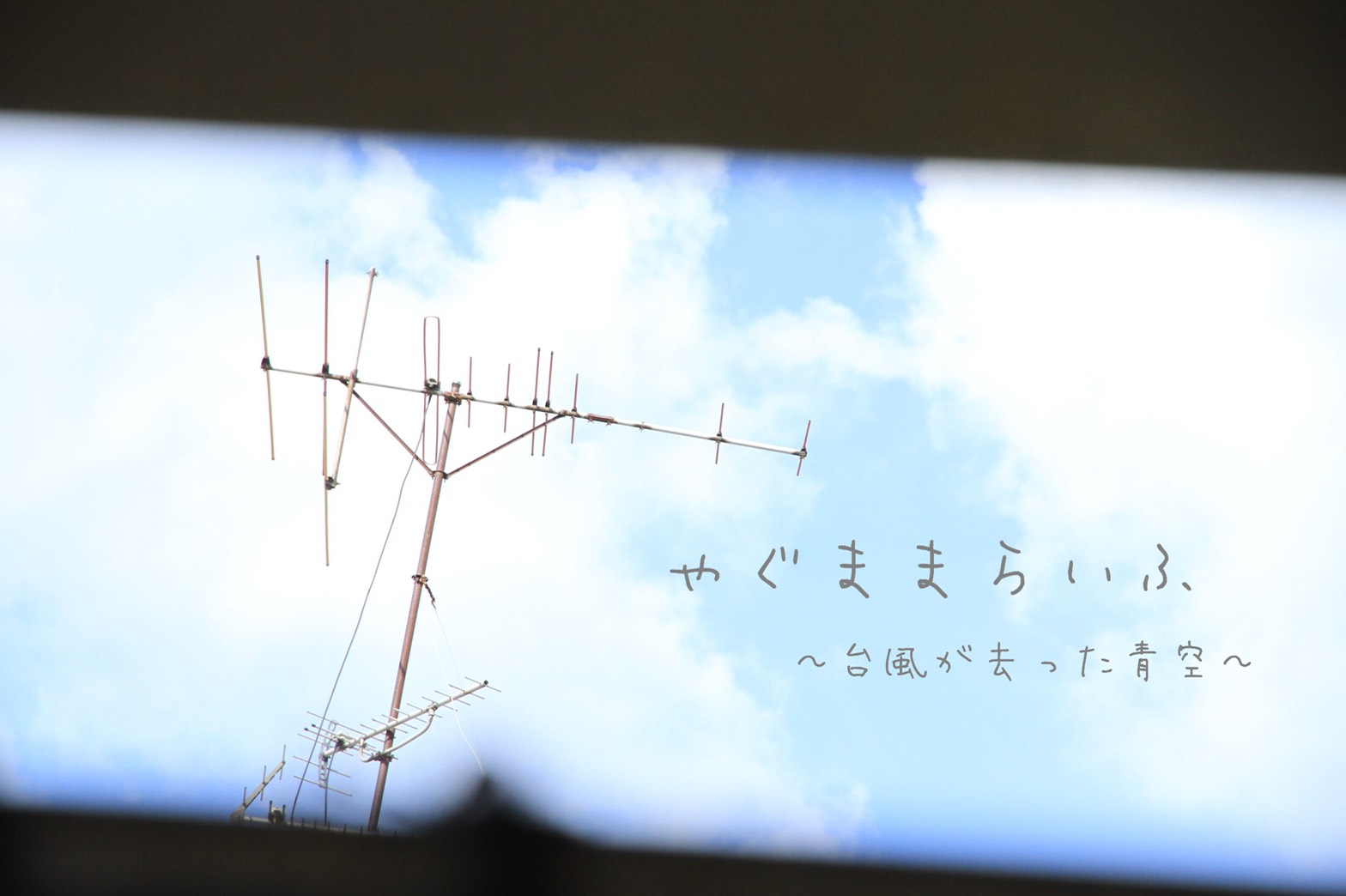 ブログ写真