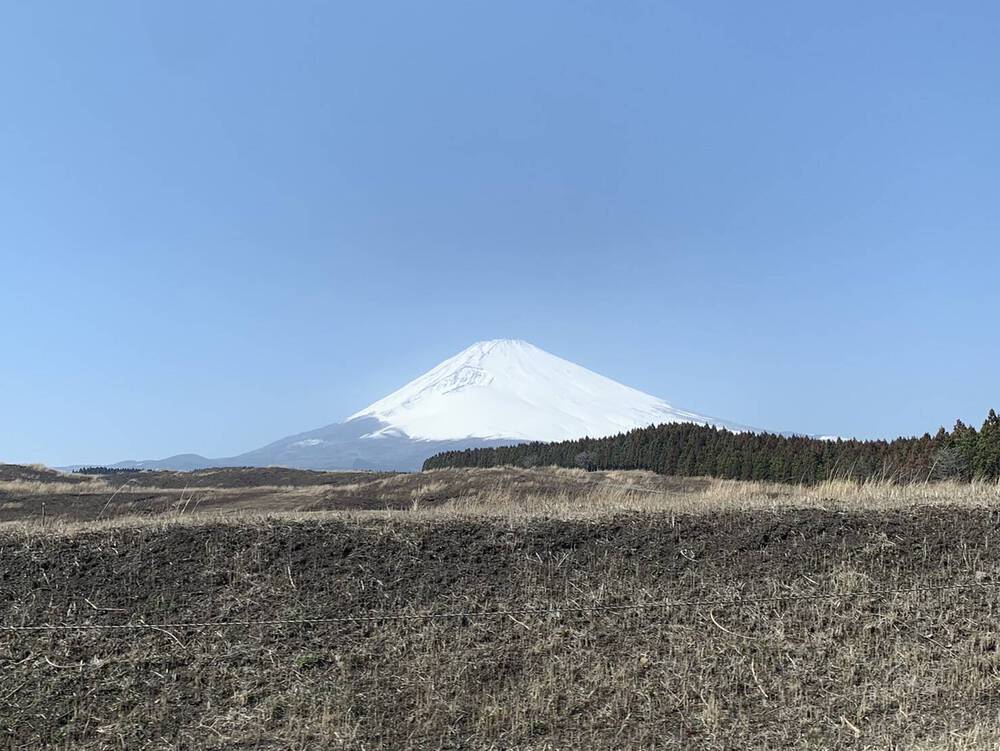 ブログ写真