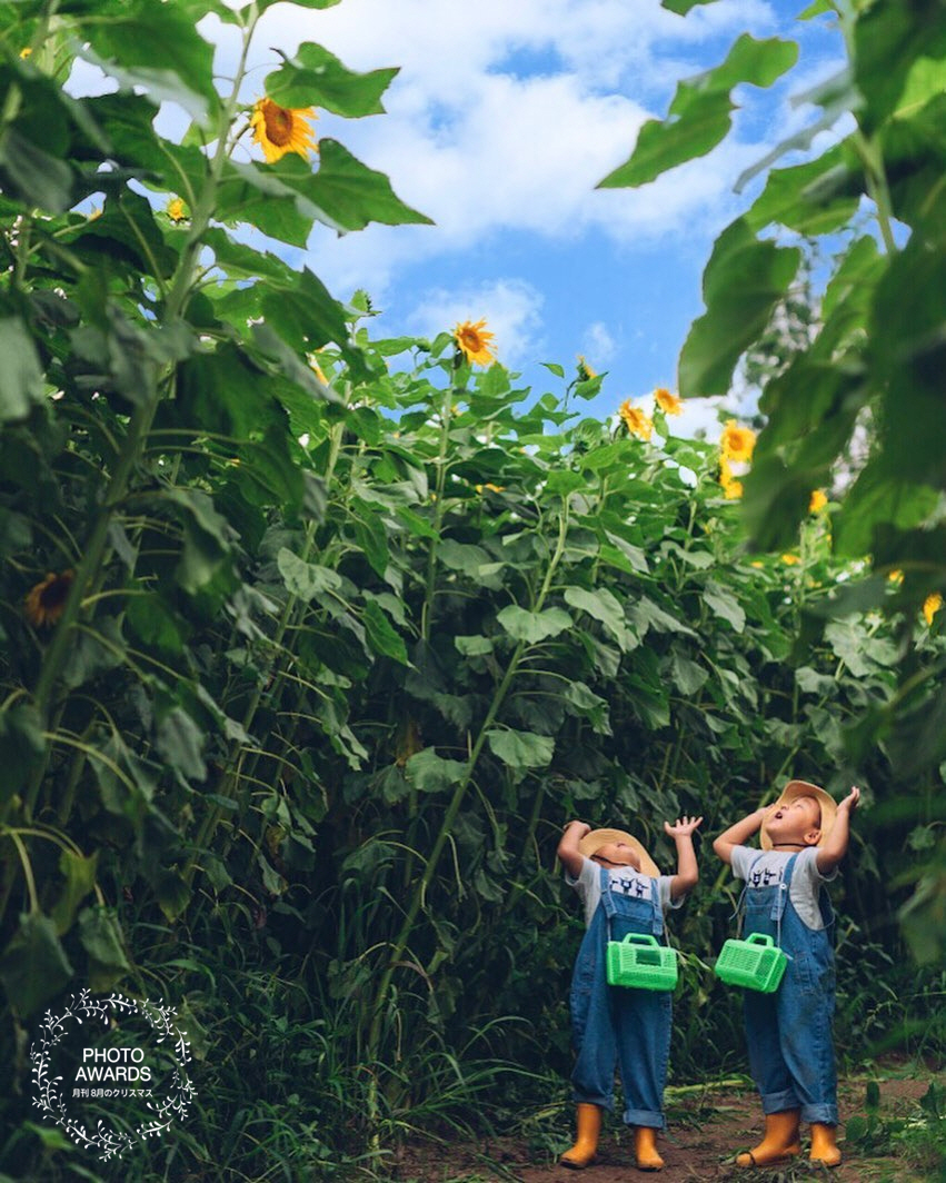 ブログ写真
