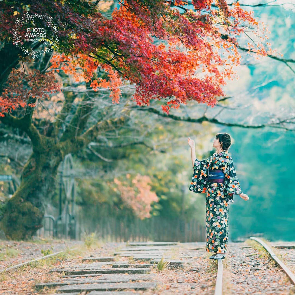 ブログ写真