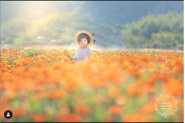 ブログ写真
