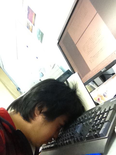 ブログ写真