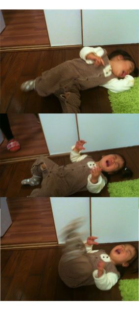 ブログ写真